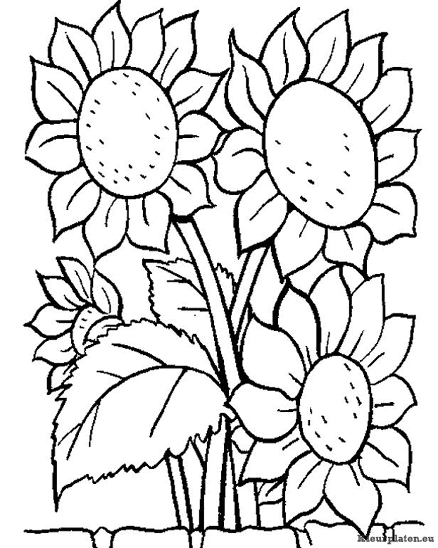 Bloemen kleurplaten
