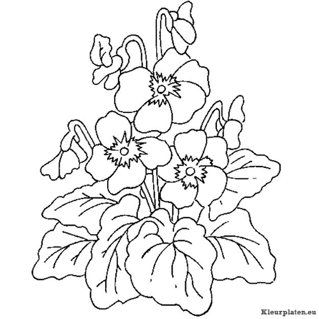 Bloemen kleurplaten