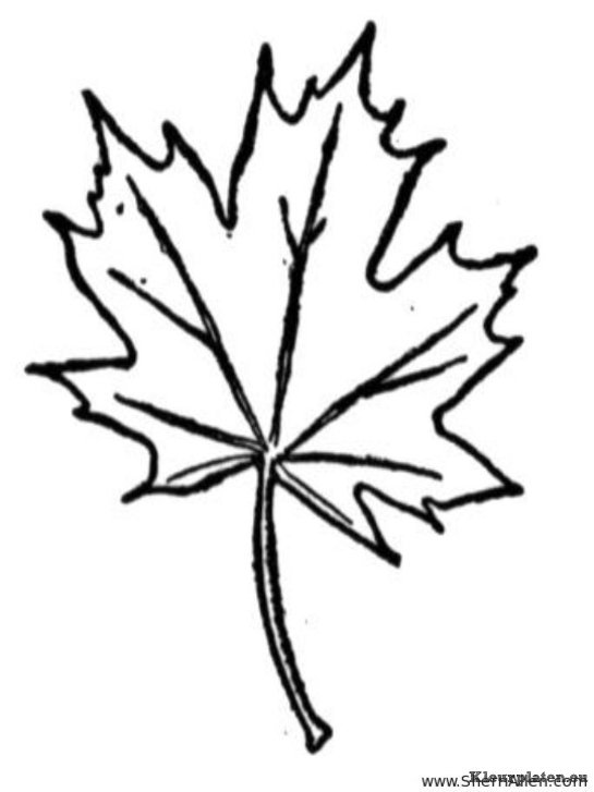 Bomen en blaadjes kleurplaten