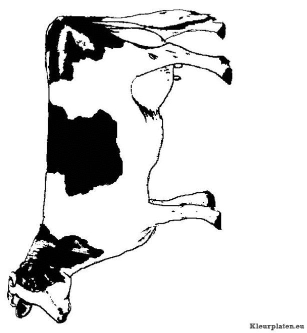Dieren kleurplaten