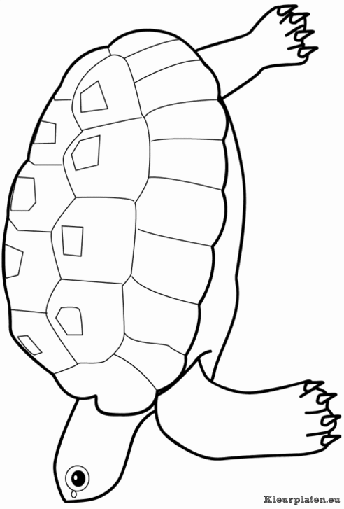 Dieren kleurplaten