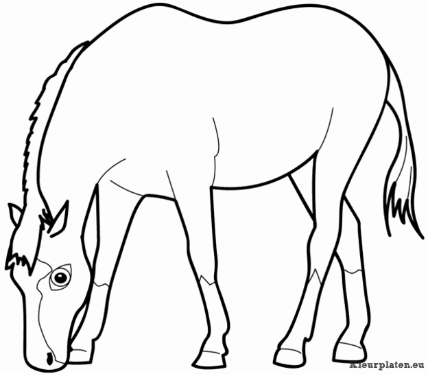 Dieren kleurplaten