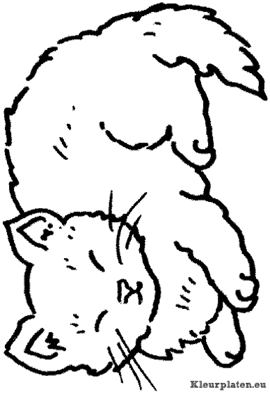 Dieren kleurplaten