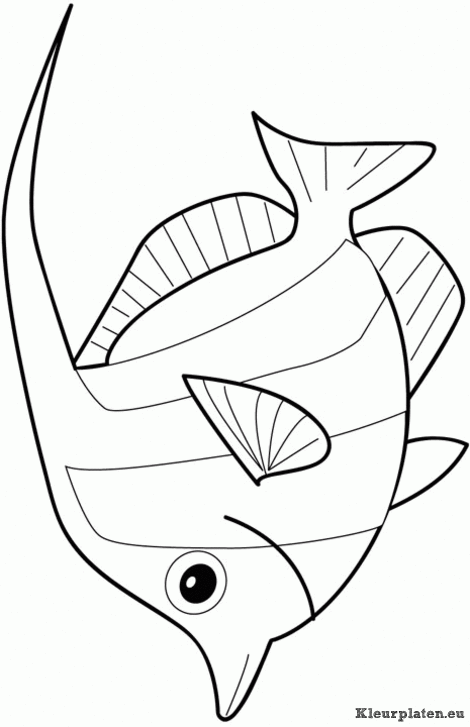Dieren kleurplaten