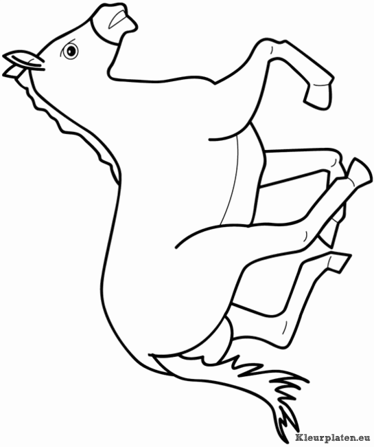 Dieren kleurplaten