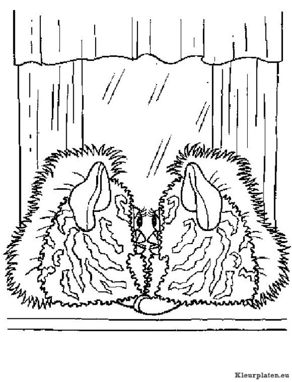 Furbie kleurplaten
