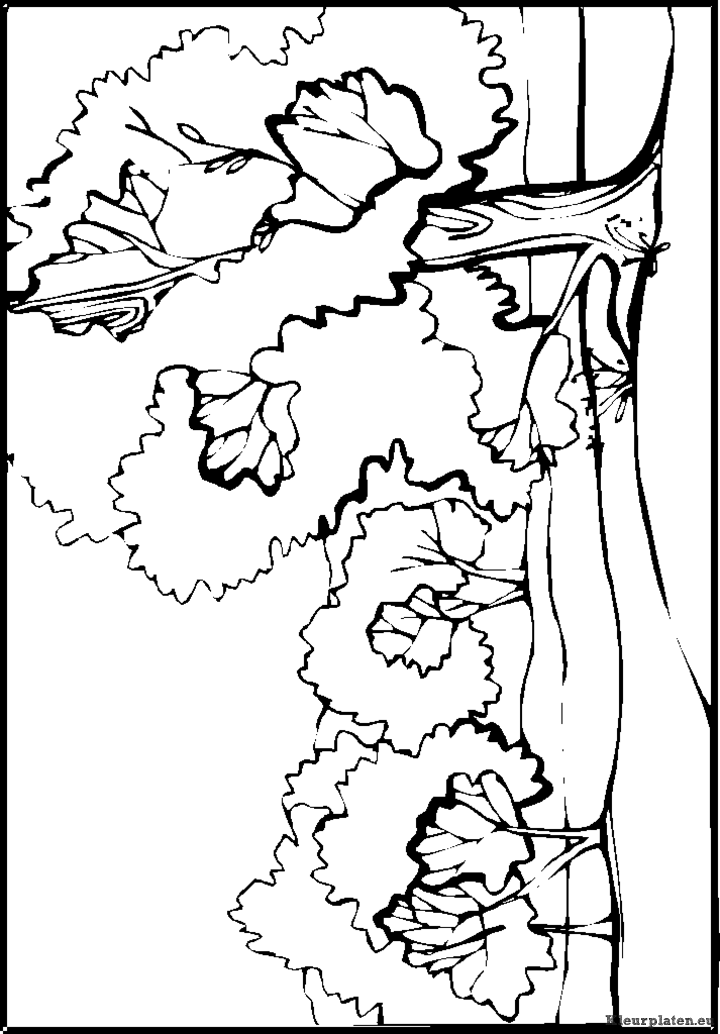 Landschap kleurplaten