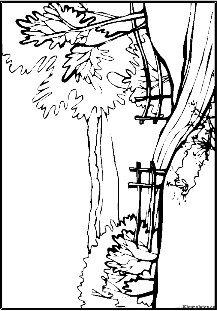 Landschap kleurplaten