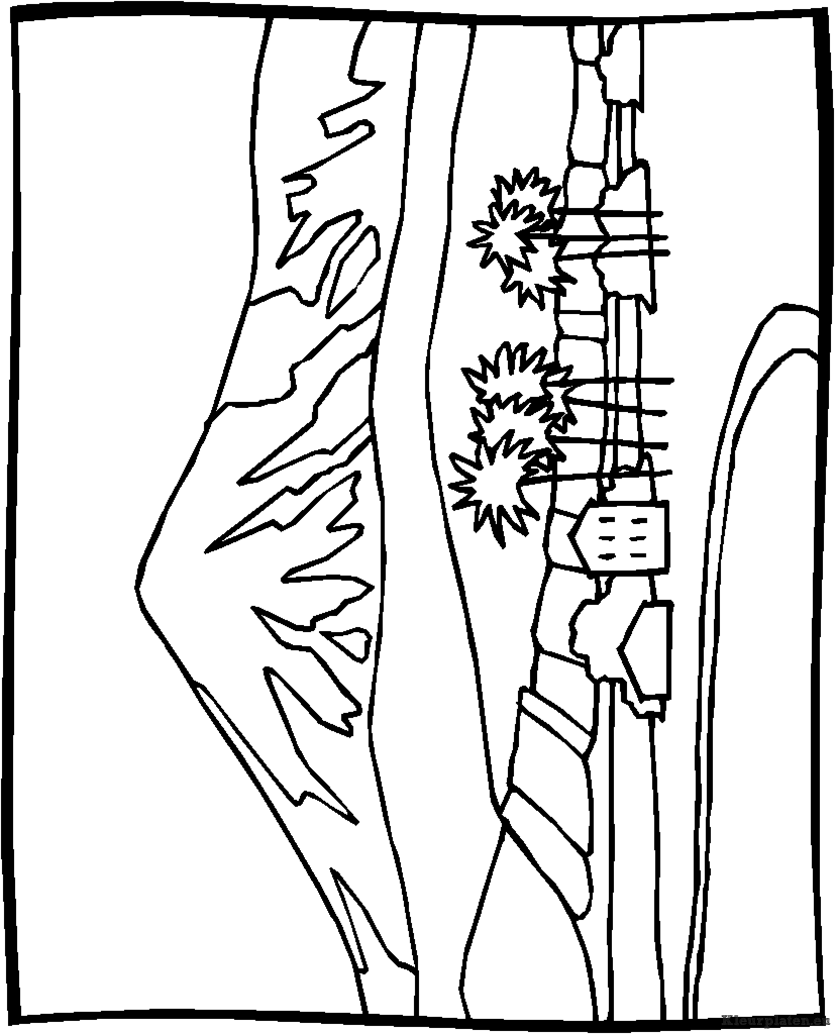 Landschap kleurplaten