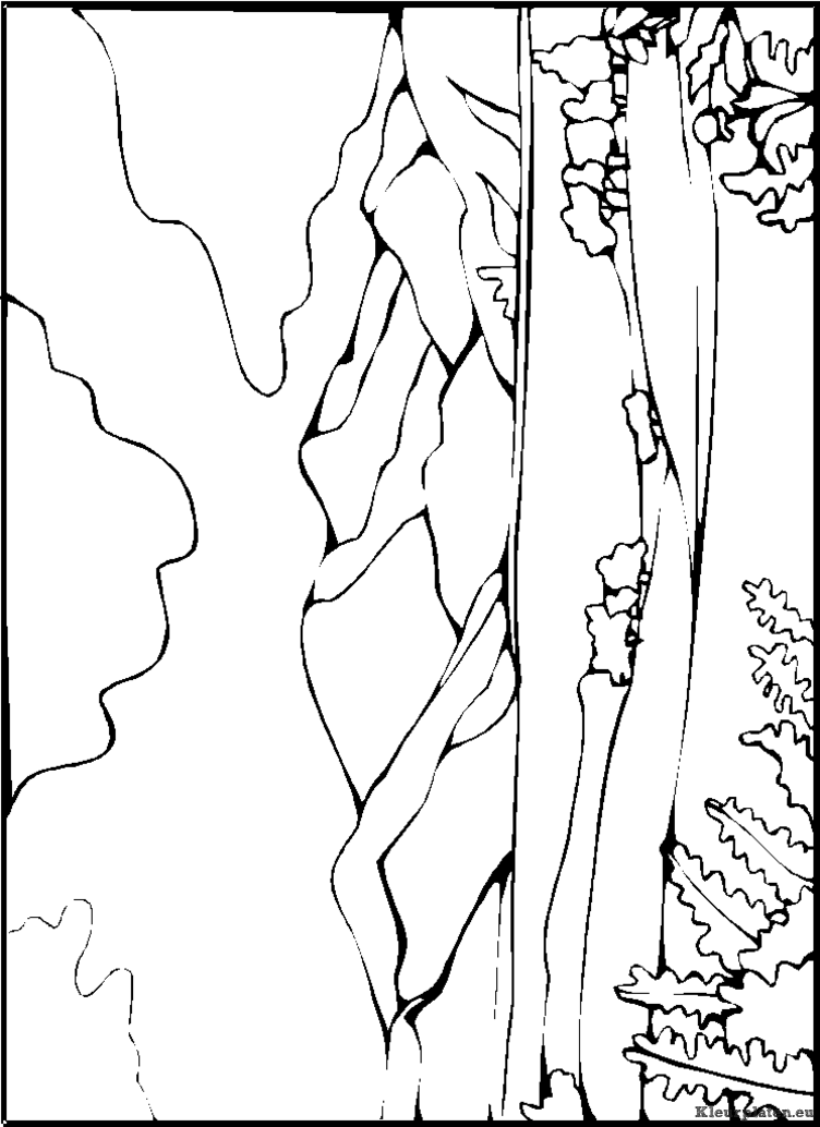 Landschap kleurplaten