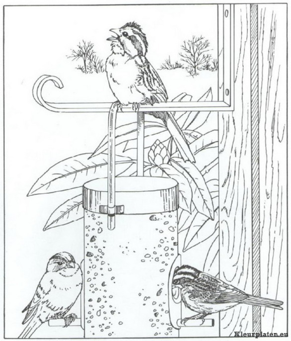 Natuur kleurplaten
