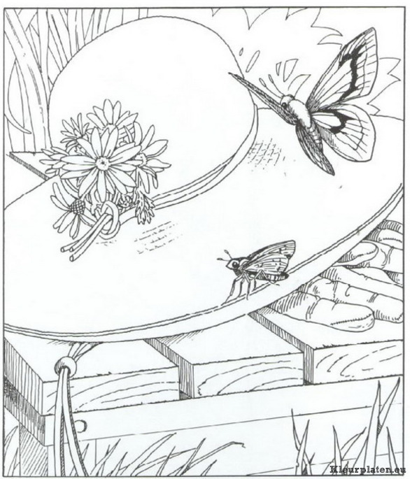 Natuur kleurplaten
