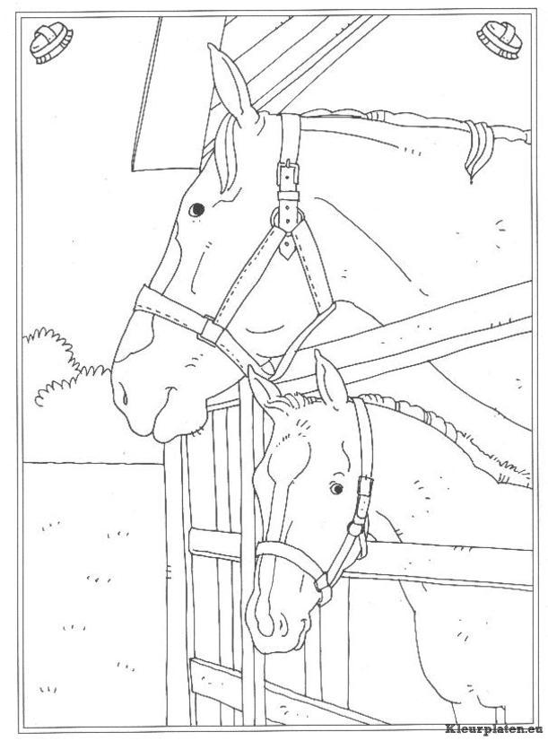 Op de manege kleurplaten