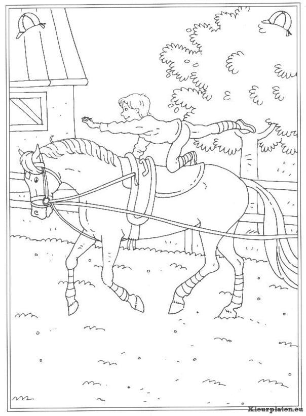 Op de manege kleurplaten