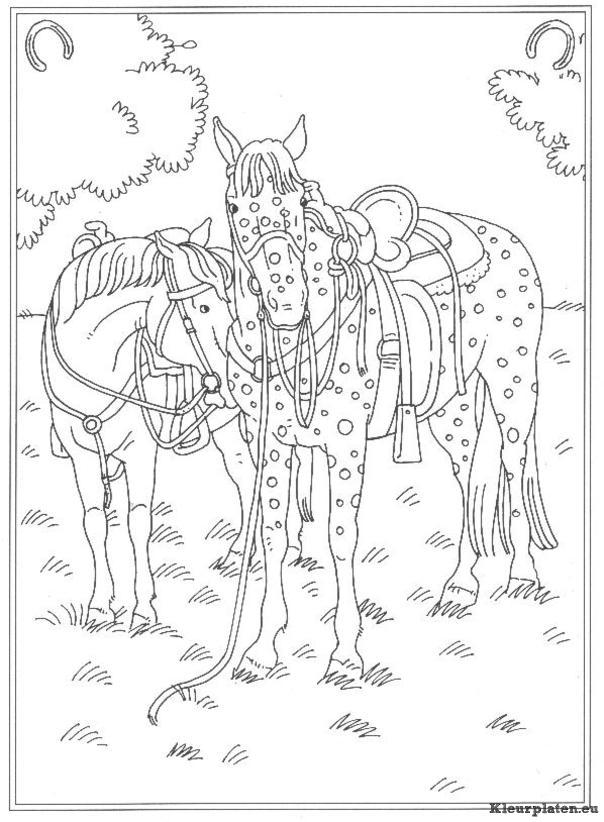 Op de manege kleurplaten