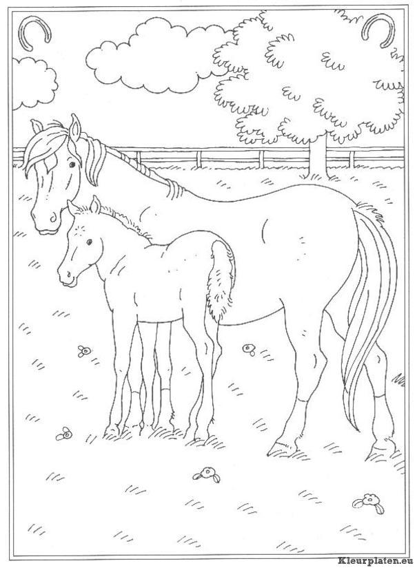 Op de manege kleurplaten