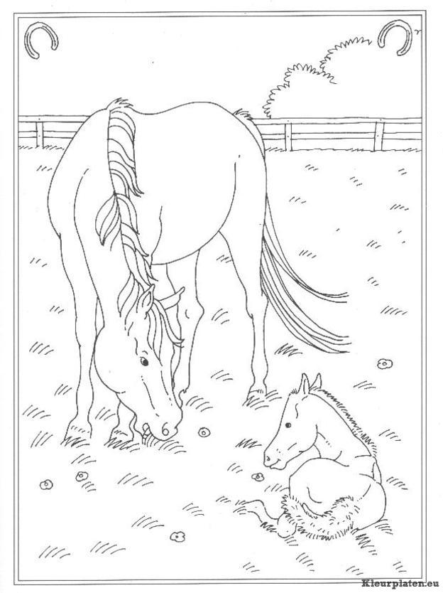 Op de manege kleurplaten