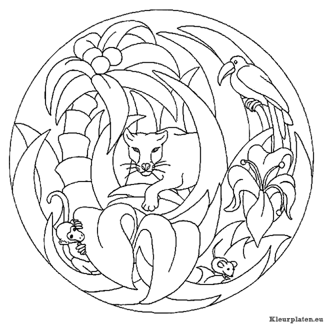 Mandala dieren kleurplaten