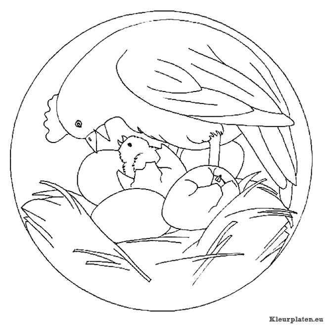 Mandala dieren kleurplaten