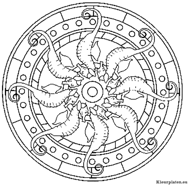 Mandala dieren kleurplaten
