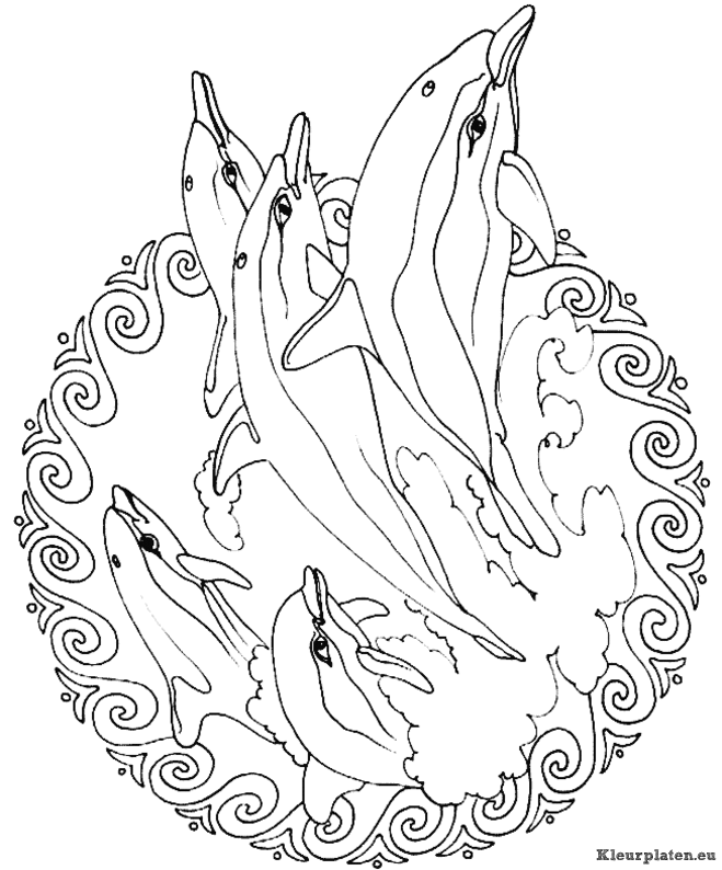 Mandala dieren kleurplaten