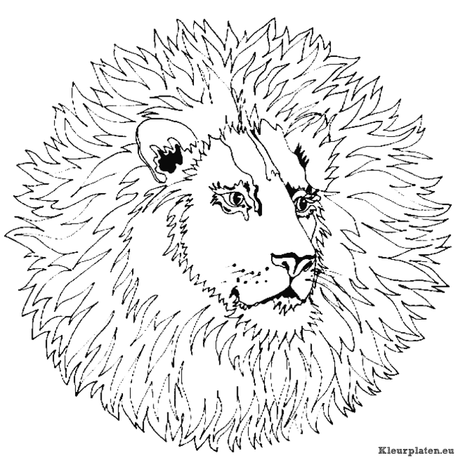 Mandala dieren kleurplaat