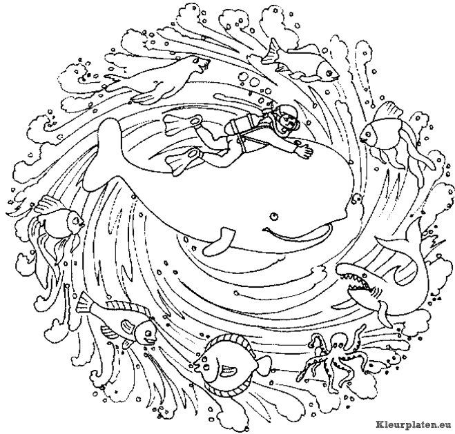 Mandala dieren kleurplaten