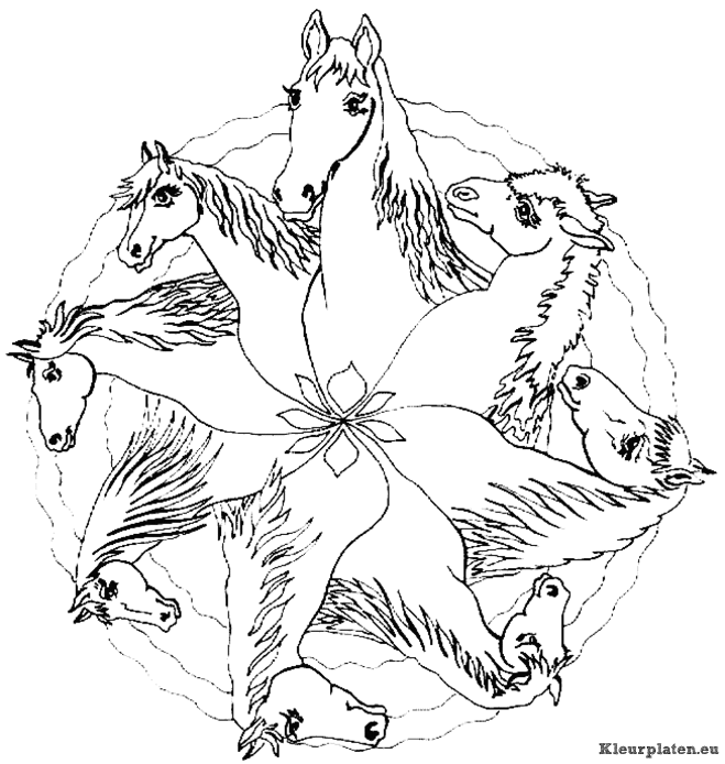 Mandala dieren kleurplaten