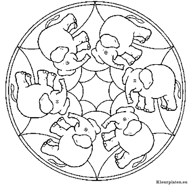 Mandala dieren kleurplaat