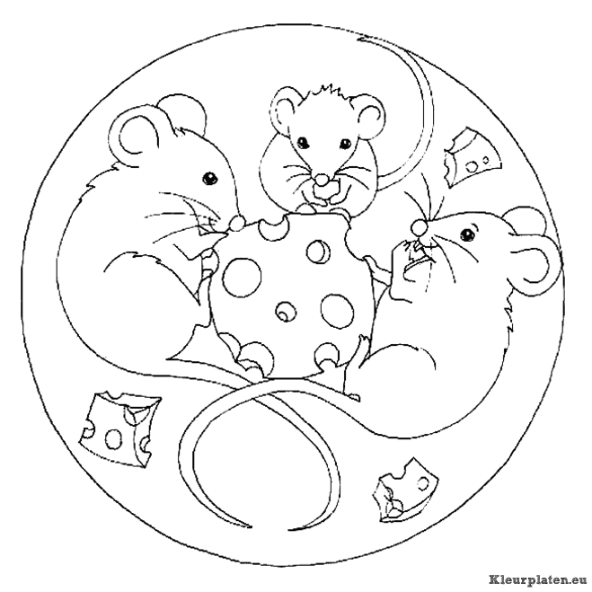 Mandala dieren kleurplaten