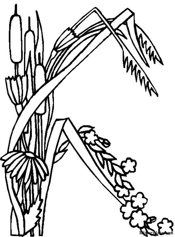 Alfabet bloemen kleurplaten