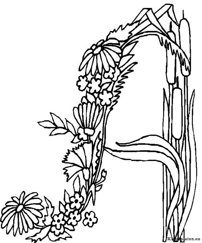 Alfabet bloemen kleurplaten