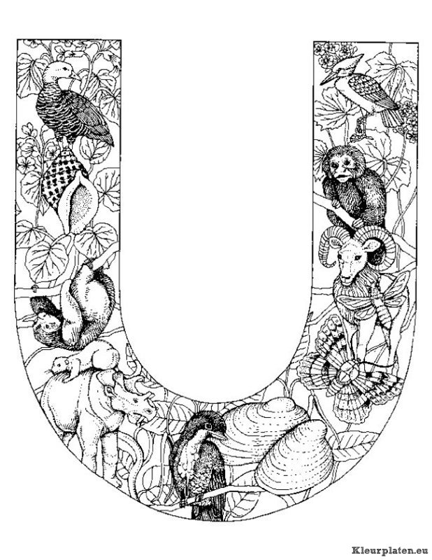 Alfabet dieren kleurplaten