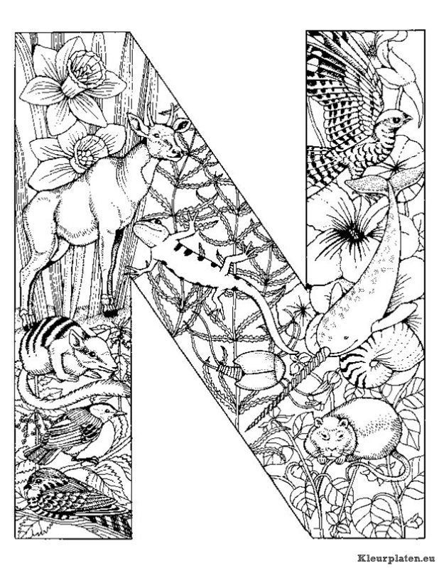 Alfabet dieren kleurplaten
