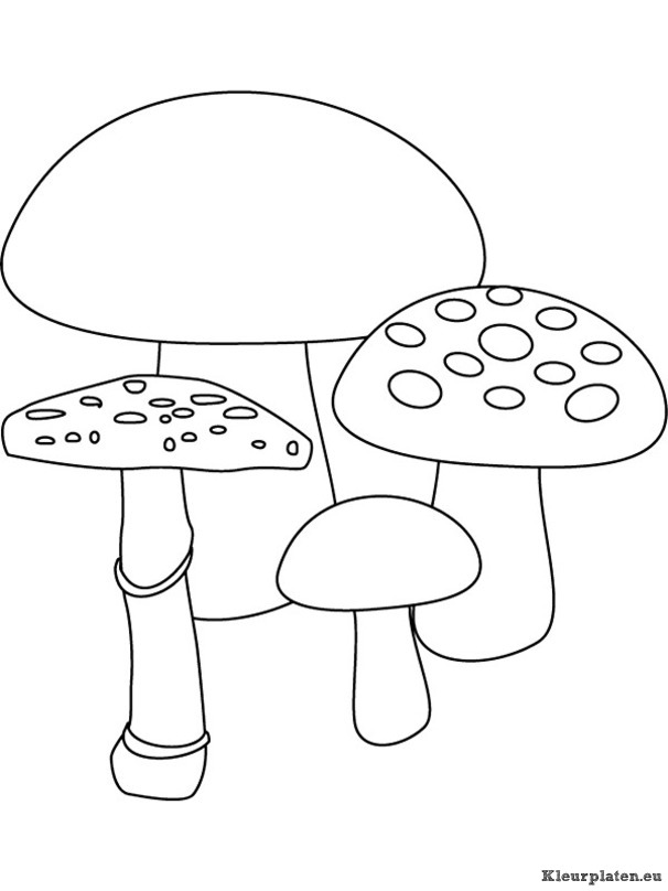 Herfst kleurplaten
