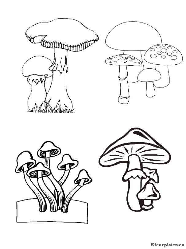 Herfst kleurplaten