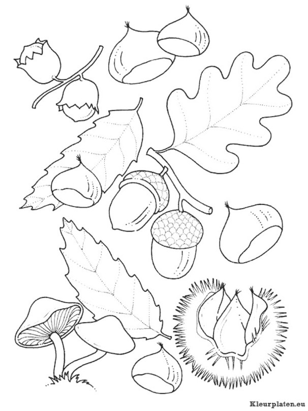 Herfst kleurplaten