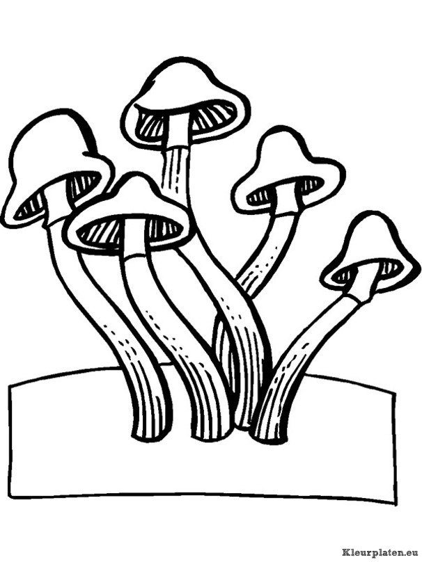 Herfst kleurplaten