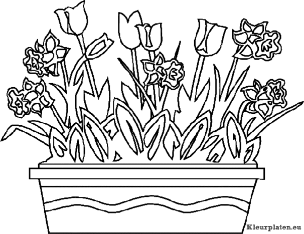 Lente kleurplaten