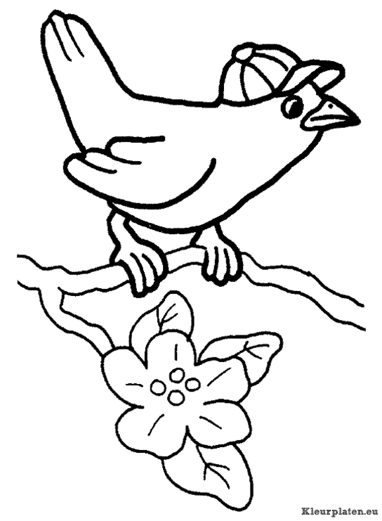 Lente kleurplaten