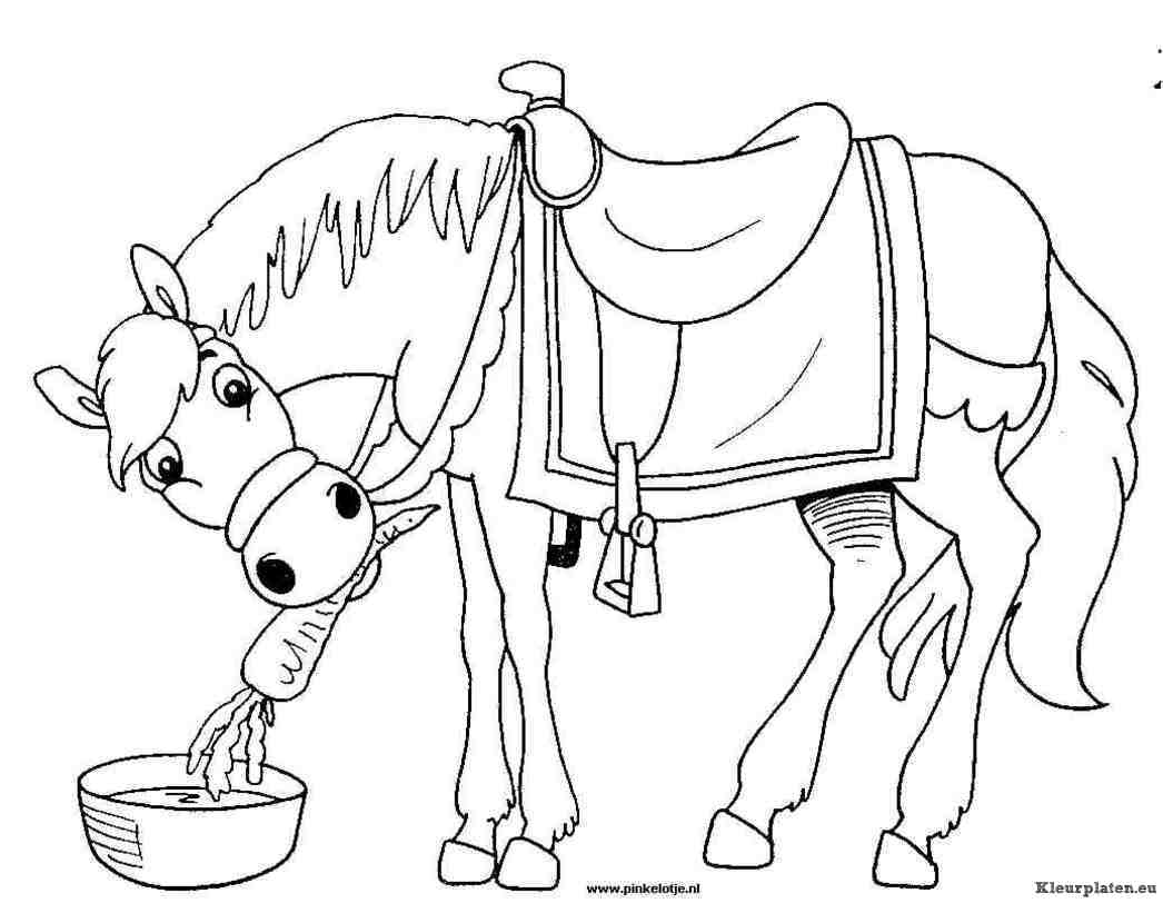 Paard van sinterklaas eet een wortel kleurplaat